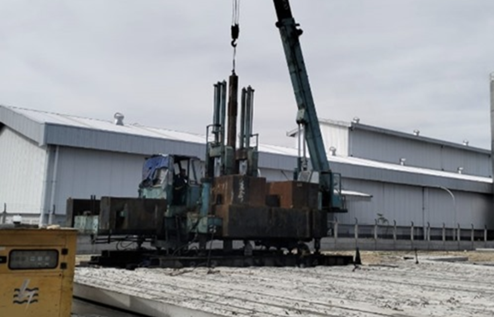 avian